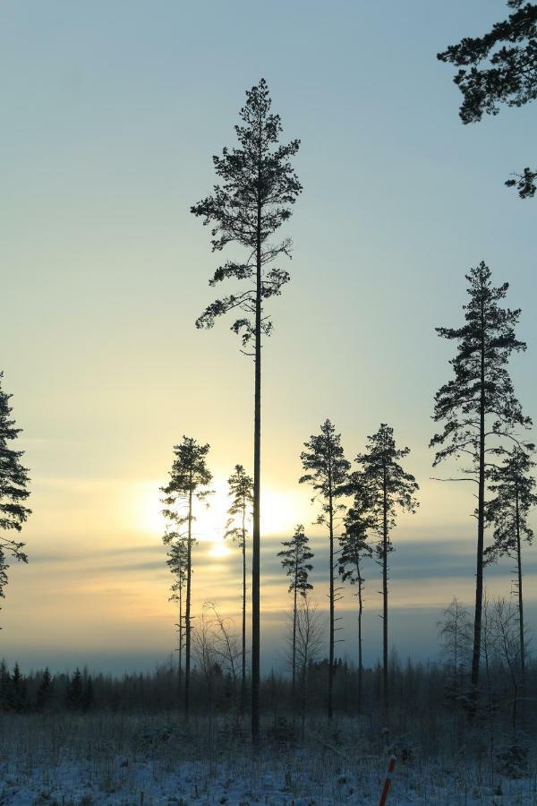 Отель Hirsimoekki Ja Makuuaitta Karijoki Экстерьер фото